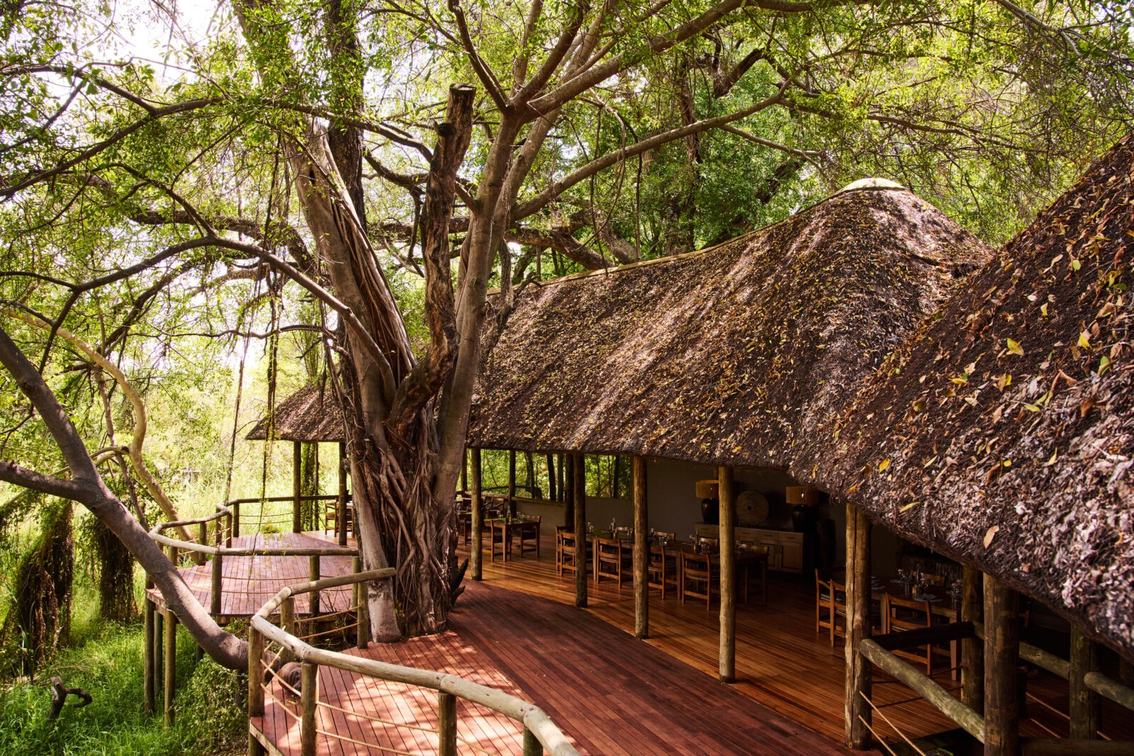 The thatched dining area at Camp Moremi wraps around a large old tree on raised decking