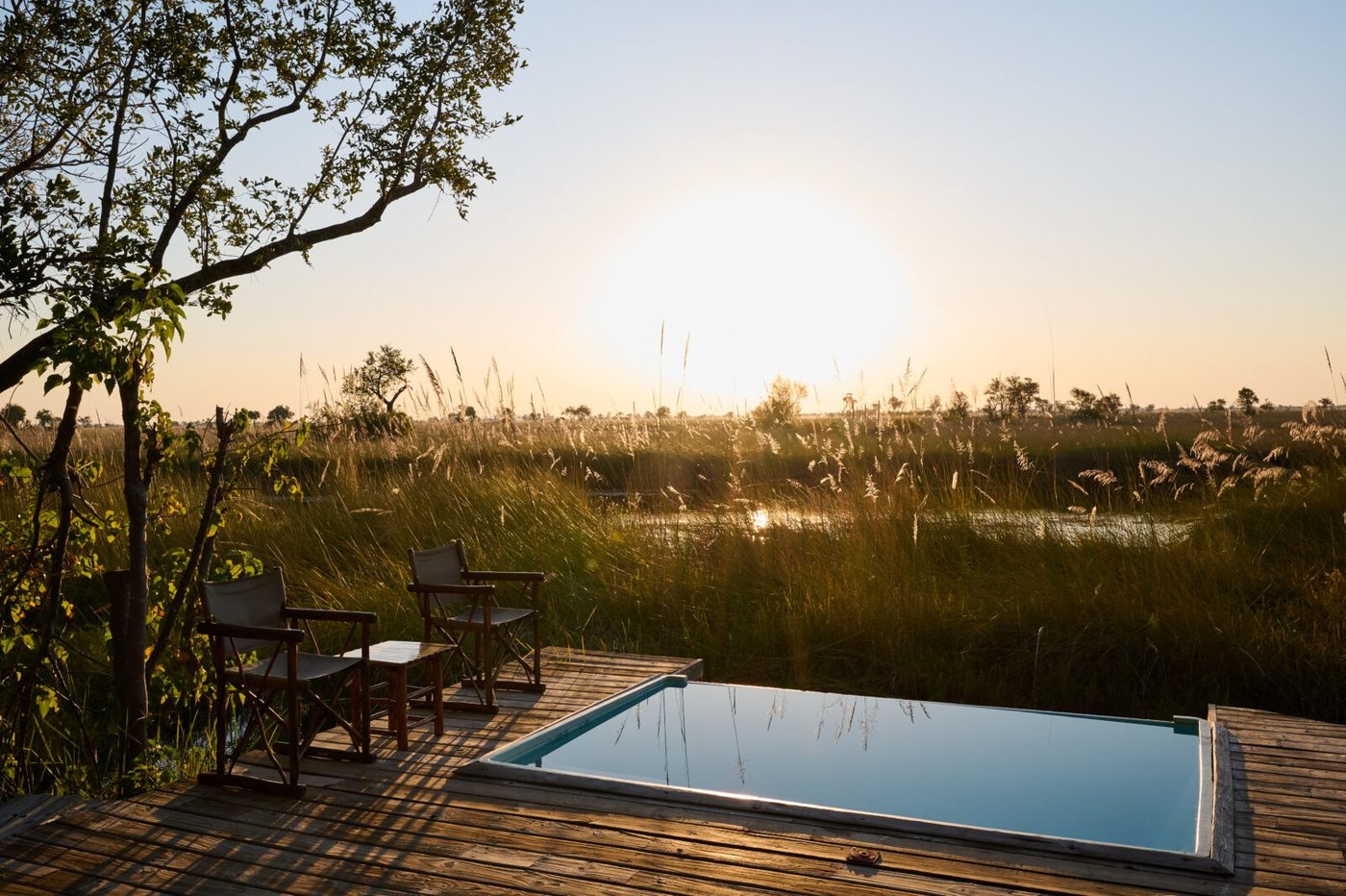 Plunge pool and canvas chairs at Camp Xakanaxa, facing tall grass and a low sun