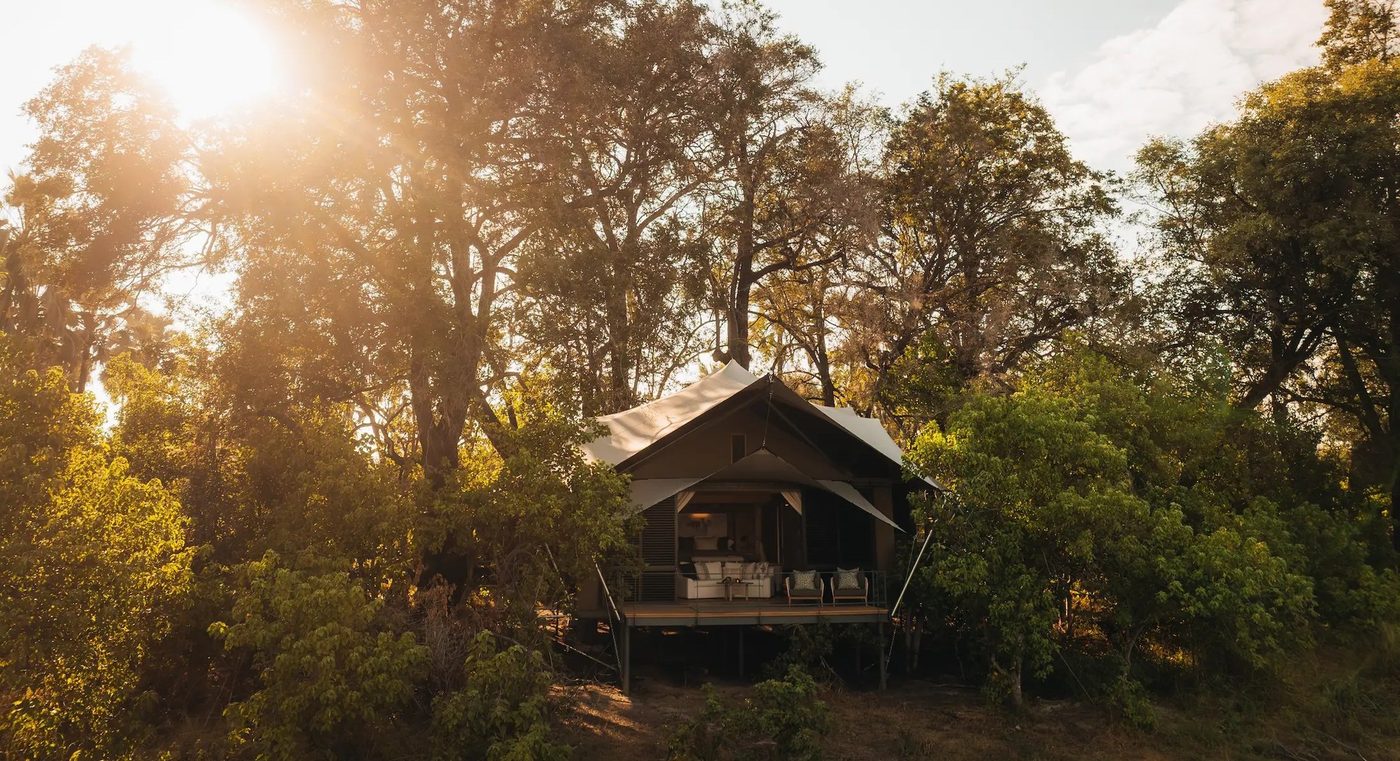 A Chitabe Camp tented suite raised on stilts among tall trees on the edge of Moremi