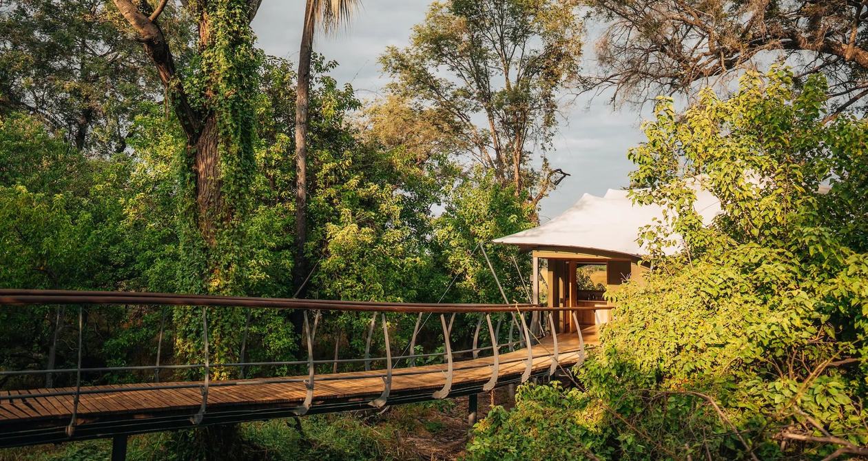 A raised walkway with curved steel railings leads through the trees to a Chitabe Camp suite