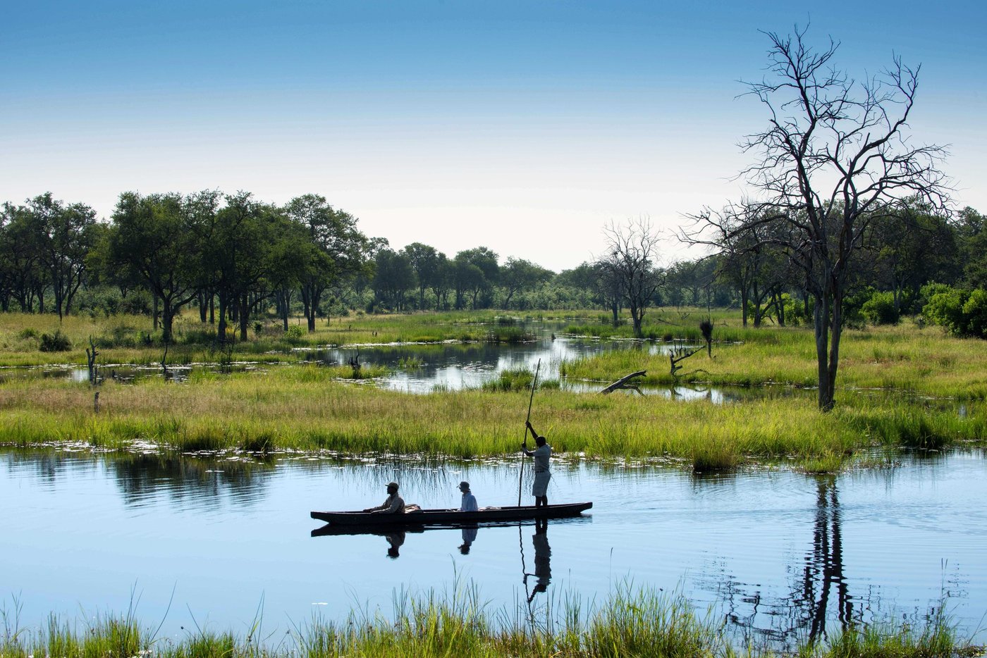 Guests pole by mokoro through the reeds near Khwai Leadwood