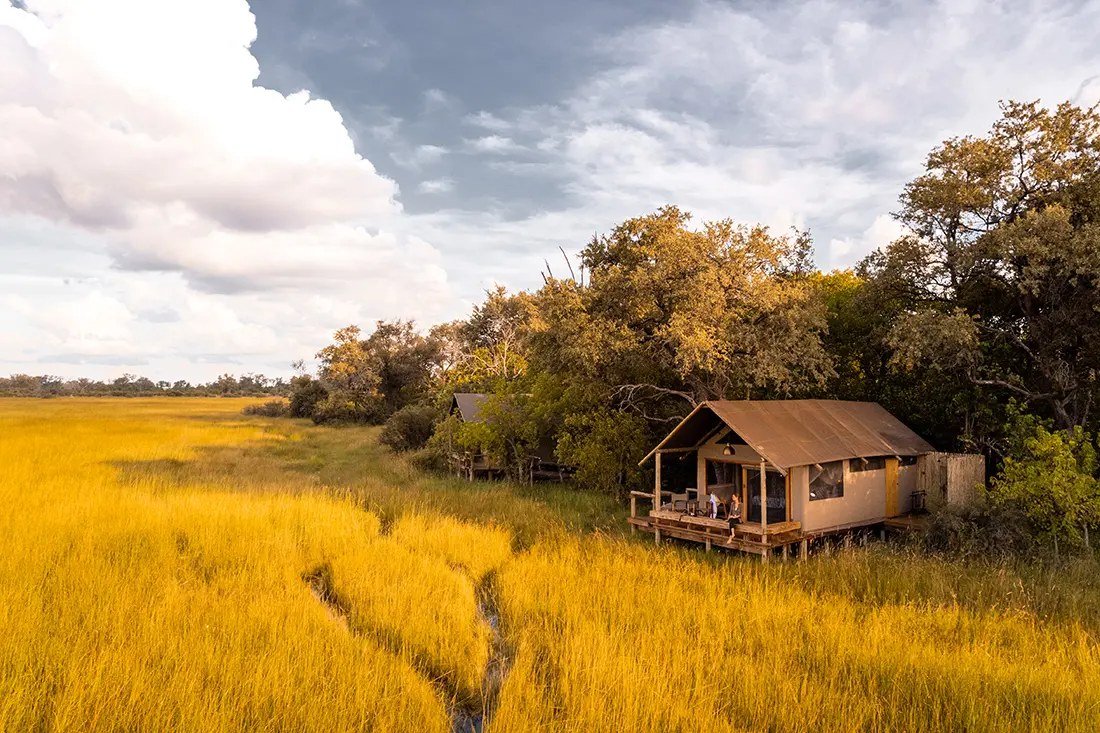 A Little Sable tent on stilts at the edge of tall golden floodplain grass