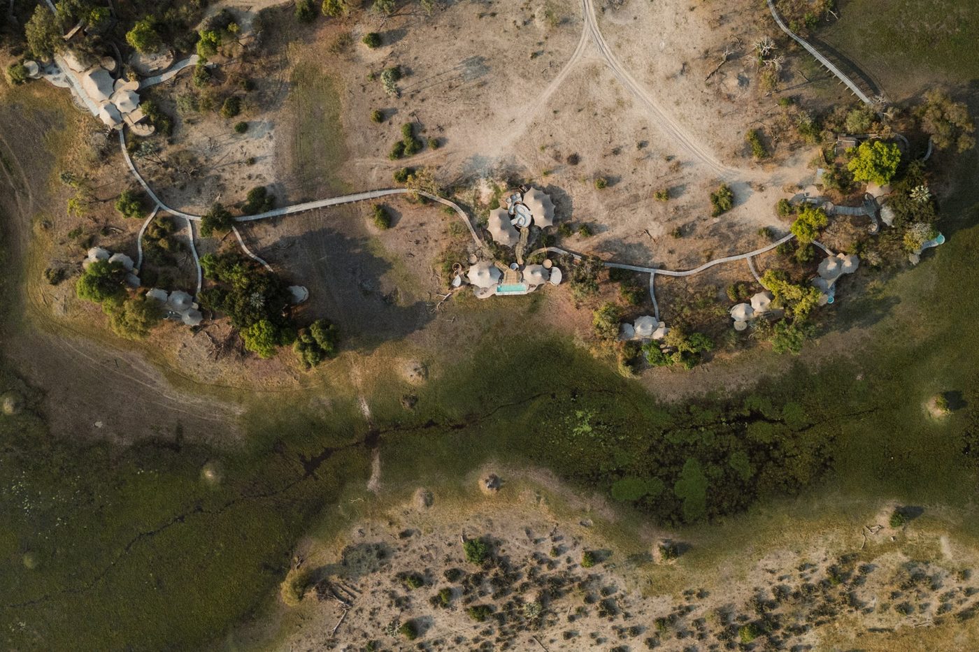 Thatched suites linked by raised walkways scattered through riverine forest at Mombo Camp, Moremi