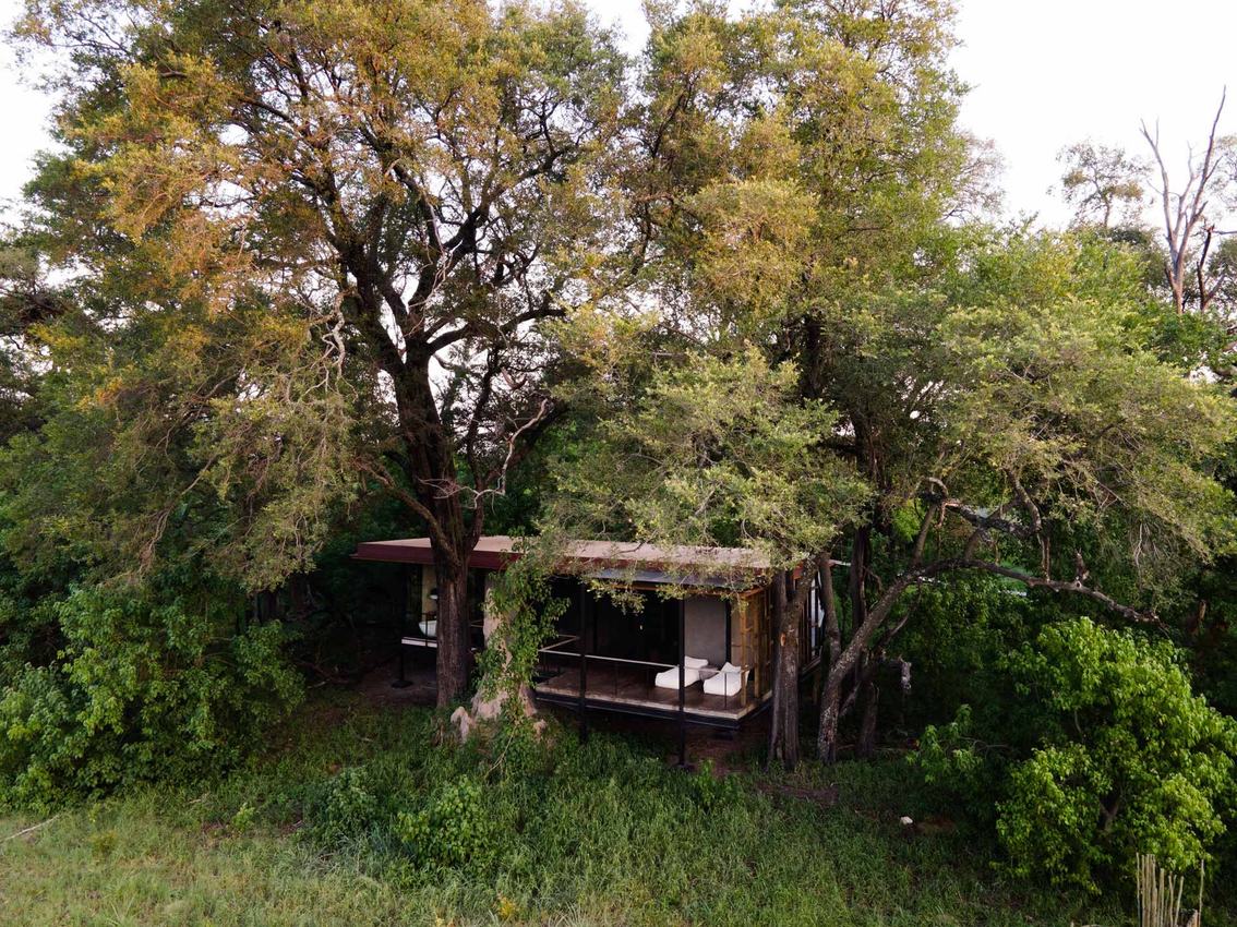 A Qorokwe Camp suite on steel stilts, half hidden under a canopy of tall trees