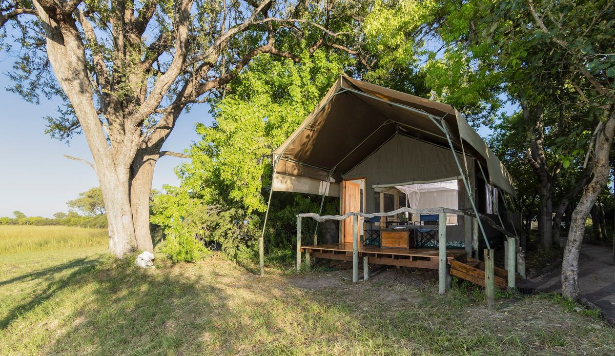 Canvas tent on its raised deck beneath trees at Sango Safari Camp, Moremi
