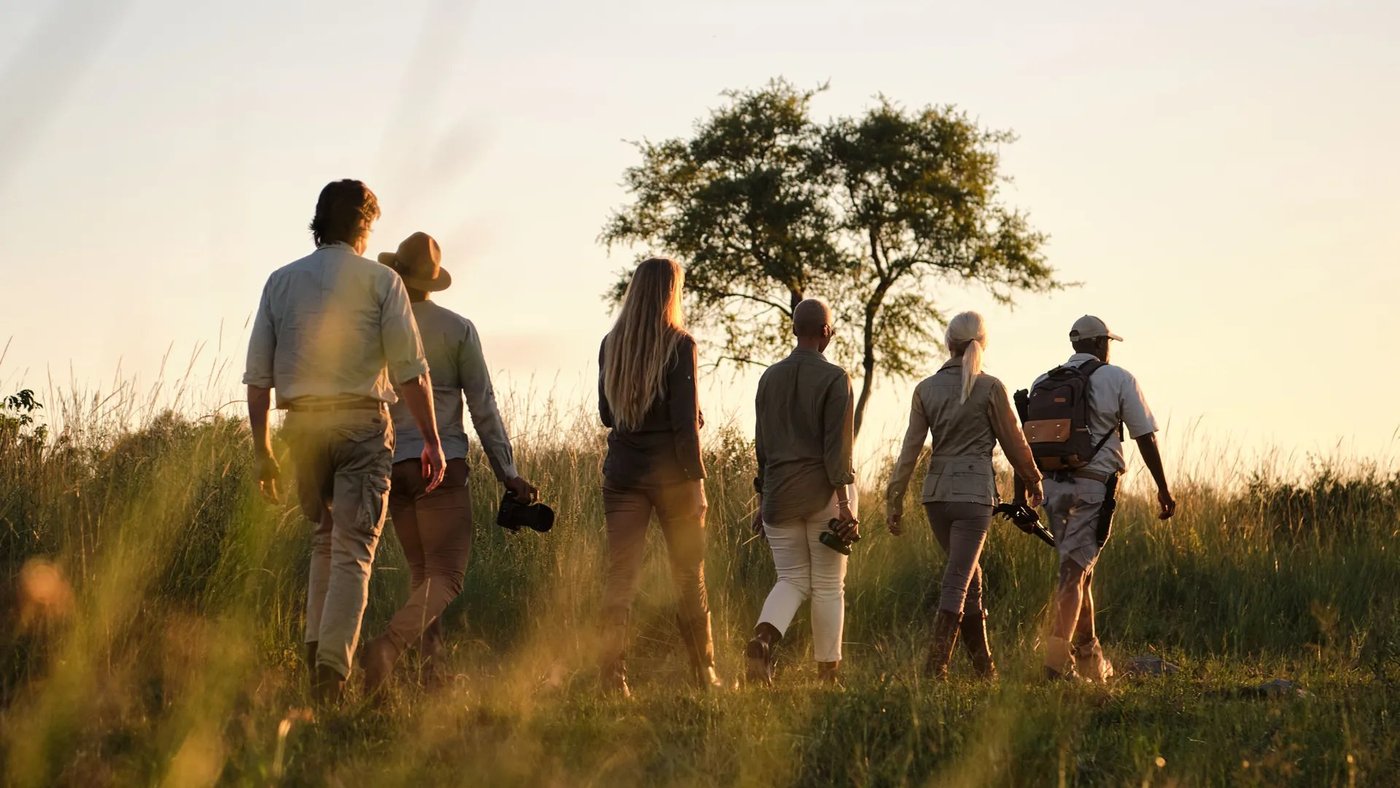 Guests and guides walk through golden grass at sunset from Xigera Safari Lodge