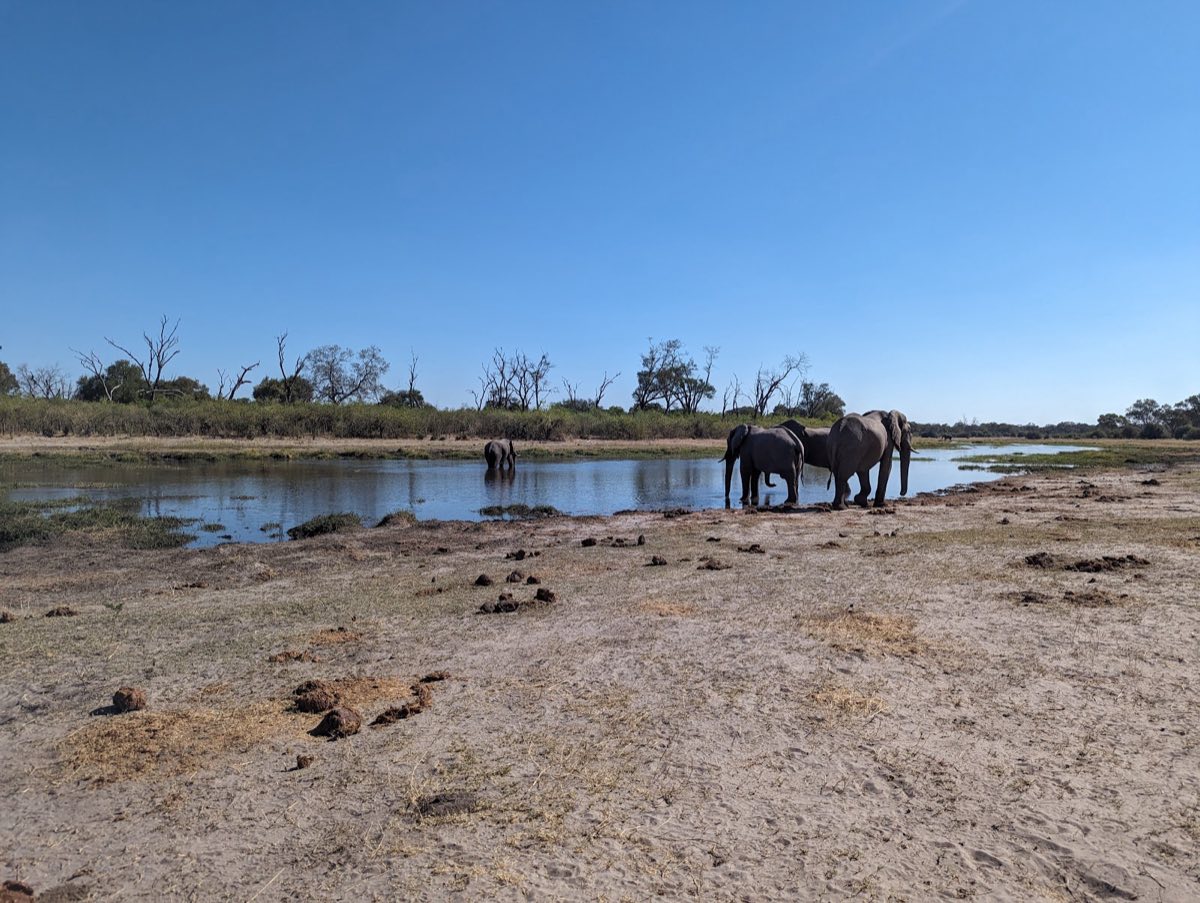 A waterhole ringed by elephant tracks and dung